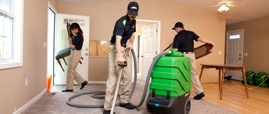 Chaska, MN cleaning services